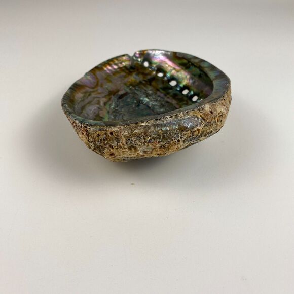 Abalone Shell 6”x5” Beautiful Display Piece Coastal Decor Trinket Dish Beach - Picture 6 of 12